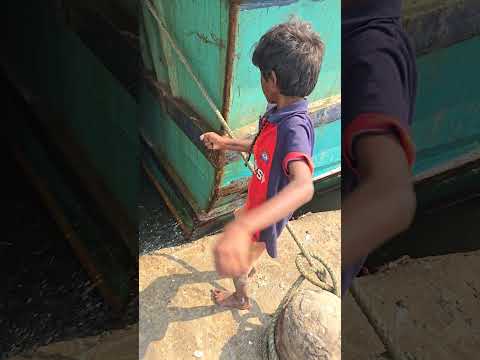 Small Boy Expert Fishing Idea