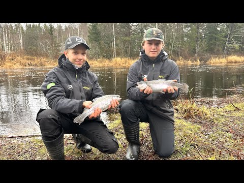 Miten saadaan unelmien työpaikka - Kalakingit töissä - Kirjolohen kalastus - Spintube