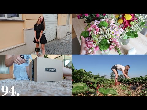 VLOG | Moje 28 narozeniny
