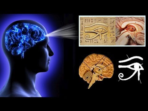 , title : 'Scientists Discovered 6th Sense Connected with the Pineal Gland'