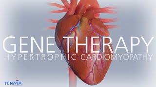 An Introduction to TN-201 and Gene Therapy