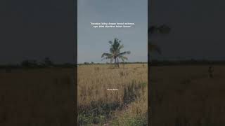 Download lagu STORY'WA KEREN||KATA KATA VERSI SAWAH||SOUND VIRALL TIKTOK ⚠️➡️ mp3 Download lagu STORY'WA KEREN||KATA KATA VERSI SAWAH||SOUND VIRALL TIKTOK ⚠️➡️ mp3