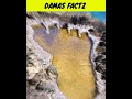 Hazrat Adam As Ke Pair Ka Nishan Footprints Of Prophet Adam Shorts