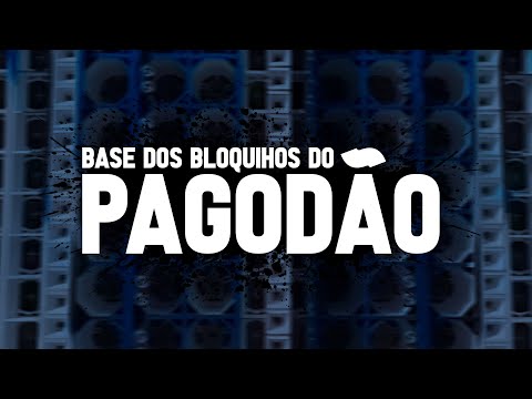 BASE DOS BLOQUINHOS DO PAGODÃO