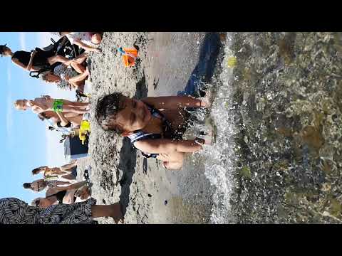 Aahana at amager strand 2019