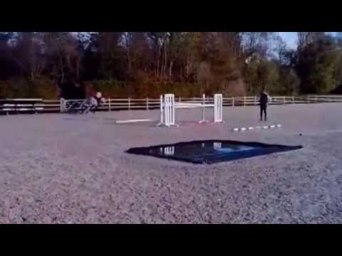 Camax l.11.11.2014.be