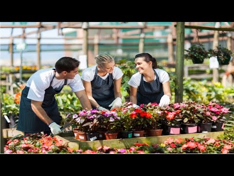 Floricultura e Plantas medicinais Video
