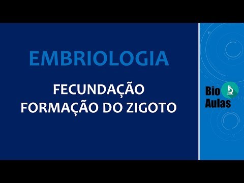 Fertilization: Zygote Formation (Human Embryology) - Bio Classes