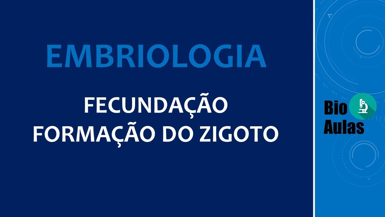 Fecundação: Formação do Zigoto (Embriologia Humana) - Bio Aulas