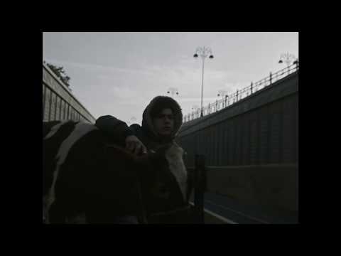 Salt, Pepper to Taste - Trailer | IFFR 2019