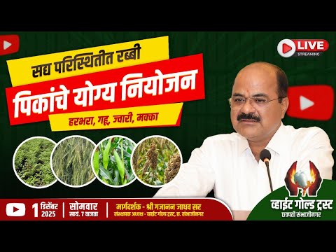 सद्य परिस्थितीत रब्बी पिकांचे योग्य नियोजन