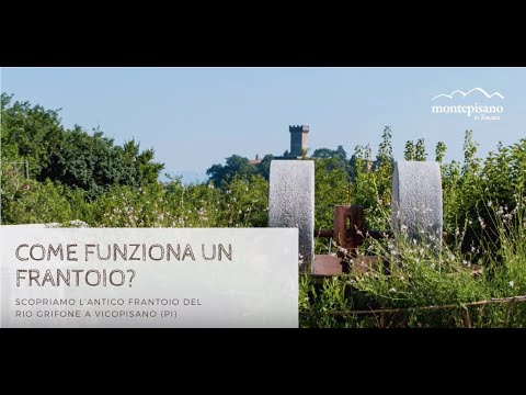 Il Frantoio di Vicopisano