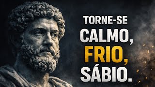 Se Torne Calmo, Frio e Sábio — A Mentalidade Estoica Que Nada Consegue Abalar