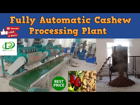 Kaju Processing Plant