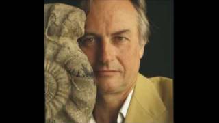 R. Dawkins - The God Delusion - Binker