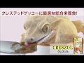 クレスゾル　昆虫・果実食ヤモリの栄養食のYouTubeサムネイル画像