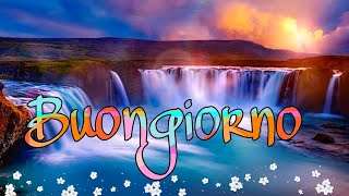 Ringraziamo la natura per la sua bellezza infinita 🌲🌻🌼Buongiorno 🌞🌻 (whatsapp)