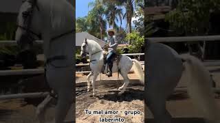 tú mal amor - grupo laberinto