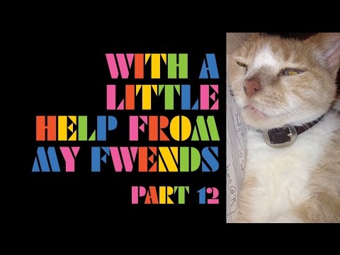 The Flaming Lips - With A Little Help From My Fwends - Part 12