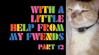 The Flaming Lips - With A Little Help From My Fwends - Part 12