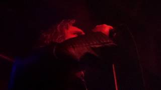 The Griswold&#39;s-High Times For Low Lives live