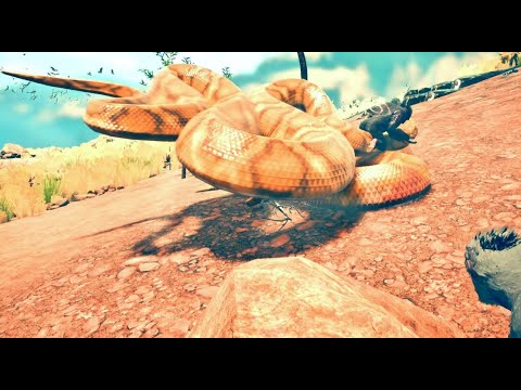 African Rock Python Vs Monkey Clans |Ep168