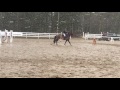 Caliente 5yr 85cm clear round