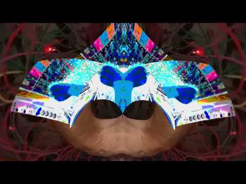 Elk Electronik 23072022 an Ae Modular Jam