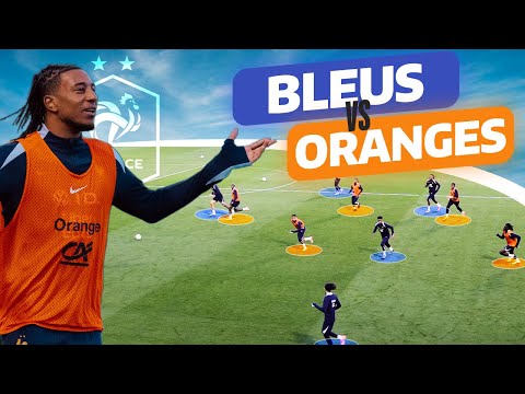 BLEUS vs ORANGES: Choisissez votre camp !
