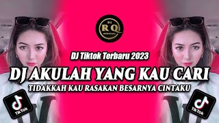 Download lagu DJ AKULAH YANG KAU CARI - DJ TIKTOK TERBARU 2023 - DJ TIDAKKAH KAU RASAKAN BESARNYA CINTAKU mp3