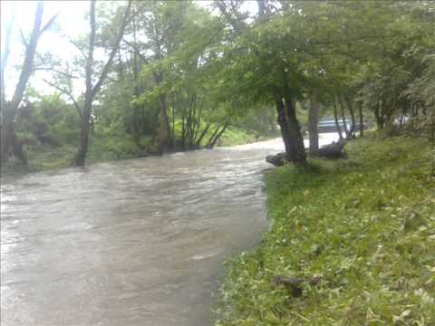 VITOMIR BUDIMIROVIC - PJEKU.