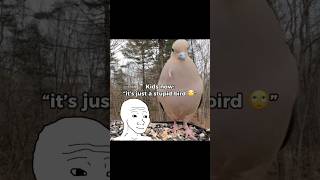 Download lagu such a nostalgic sound #nostalgia #dreamcore #shorts mp3