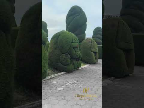 Visitando el Cementerio de Tulcan - Provincia de Carchi