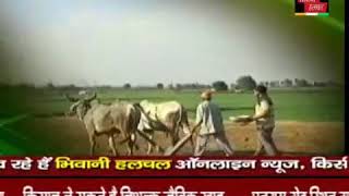 preview picture of video 'Ever green organic farmers welfare society , bhiwani'