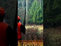 30 40 Krag Rifle Vs Record Book Buck In Pennsylvania