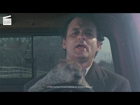 Un jour sans fin : La marmotte conduit (CLIP HD)