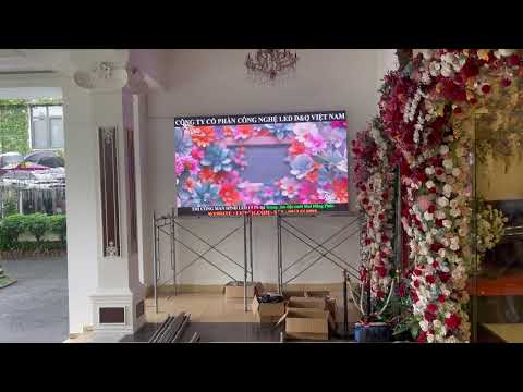 Video dự án