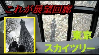 【サラリアおでかけ】東京スカイツリーいってきたよ☆ / Tokyo-SKYTREE!