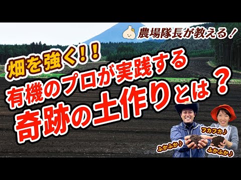 土壌の生物活性化 - 定義