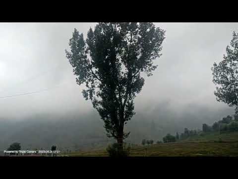 Good Morning Joginder Nagar walking clouds#travel#nature #clouds#jogindernagar#roadtrip#lifestyle