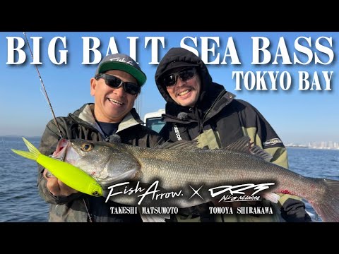 Fish Arrow Dart Jack 22cm 77g #14 Mat Chart Konoshiro F