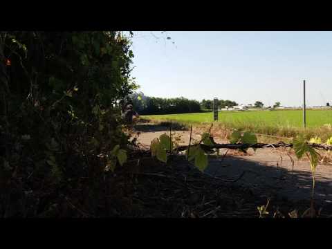 La ferrovia  Novara - Varallo riporta la storia! (4)