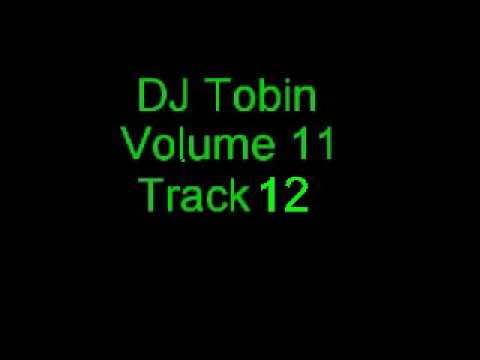DJ Tobin Volume 11 Track 12