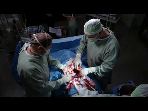 owen and teddy s16e04 scene 6