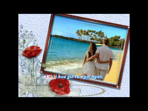 Lãng du cuộc tình - Phong Lan