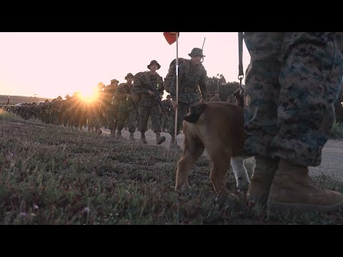 Watch: Marine Corps Pvt. Bruno's Incredible Transformation at Camp Pendleton!