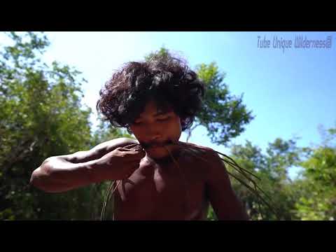 Construindo a mais bela casa de madeira na árvore - Tecnologia Primitiva