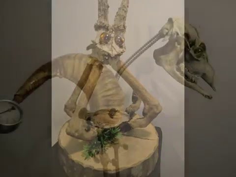 L'étrange bestiaire de mr GUERAP