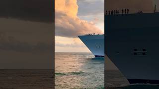 Oasis of the Seas 🛳️ #like #share #comment #subscribe #cruiseship #cruise #vacation #shorts #short