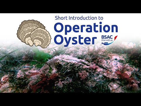 BSAC Operation Oyster - Short Introduction